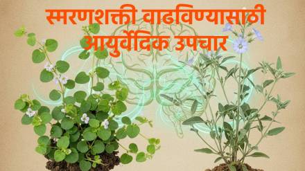 स्मरणशक्तीसाठी आयुर्वेदिक उपचार