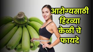 Person holding fresh green bananas healthy unripe bananas rich in resistant starch