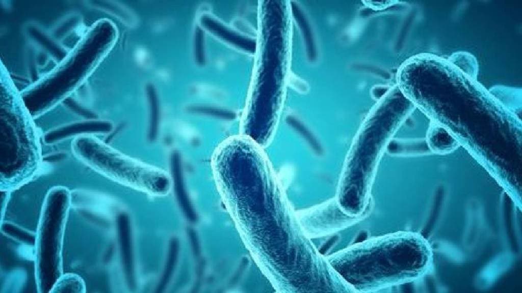 The threat is more acute in antibiotic free India