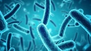 The threat is more acute in antibiotic free India