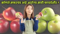 हिरवे की लाल, कोणते सफरचंद खावे? आरोग्यासाठी कोणते सफरचंद अधिक फायदेशीर? जाणून घ्या