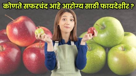Which apple is better for your health and diet? Which apple is better for your health and diet?