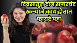 रोज २ सफरचंद खाल्ल्याने शरीरात काय बदल होतो? हृदयापासून यकृतपर्यंत असा होतो परिणाम; या हेल्दी सफरचंद रेसिपीज नक्की वापरून पाहा!