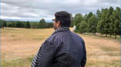 “तेव्हा आईला पाणी दिलं असतं तर कदाचित…”, बॉलीवूड अभिनेत्याला आजही सतावतंय ते दु:ख; म्हणालेला…