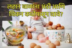लहान मुलांना अंडी आणि चिकन कोणत्या वयापासून आणि कसे द्यावे? वाचा, तज्ज्ञ काय सांगतात?