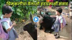 “कालिया, तू इथंच बस, मी तुला…” शाळेत जाताना एका मुलीचा आणि बैलाचा संवाद पाहून नेटिझन्स झाले भावूक; पाहा VIDEO
