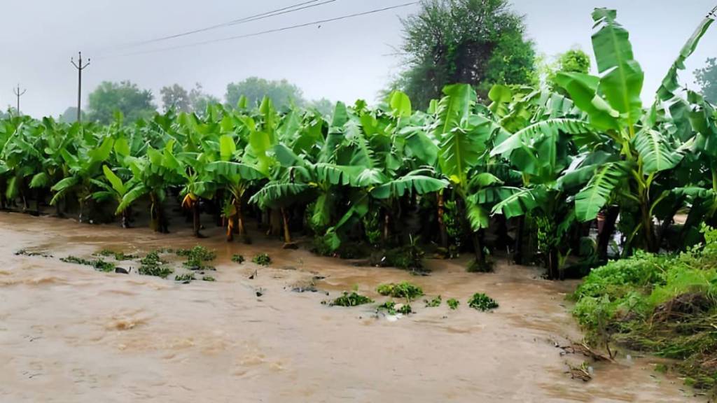 Jalgaon heavy rain impact