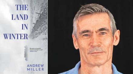 The Land in Winter novel