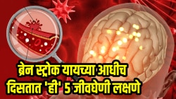 ब्रेन स्ट्रोक यायच्या आधीच दिसतात ‘ही’ ५ जीवघेणी लक्षणे; पहिल्या ६० मिनिटात उपचार झाले नाही तर…, दुर्लक्ष न करता लगेच जाणून घ्या