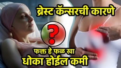 महिलांमध्ये वेगानं पसरणाऱ्या ब्रेस्ट कॅन्सरचा धोका होऊ शकतो कमी! फक्त ‘हे’ ५ पदार्थ दररोज खा, जाणून घ्या सेवनाची योग्य पद्धत