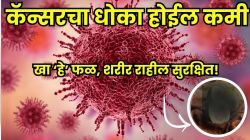 कॅन्सरचा धोका होईल कमी; फक्त ‘हे’ १ स्वस्त फळ खा, संशोधनातून समोर आले चकित करणारे परिणाम