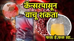 कॅन्सरपासून वाचण्यासाठी ‘खा’ हे एकच फळ! फक्त ५० रुपयात होईल धोका कमी, हृदय आणि त्वचेसाठीही फायदेशीर…