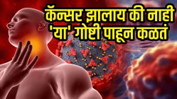 Cancer Early Symptoms: कॅन्सरची सुरूवातीलाच दिसतात शरीरात ‘ही’ लक्षणे! खोकला, थकवाच नाही तर ‘या’ गोष्टी पाहून कळतं कॅन्सर झालाय की नाही…