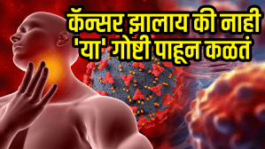 Cancer Early Symptoms: कॅन्सरची सुरूवातीलाच दिसतात शरीरात ‘ही’ लक्षणे! खोकला, थकवाच नाही तर ‘या’ गोष्टी पाहून कळतं कॅन्सर झालाय की नाही…