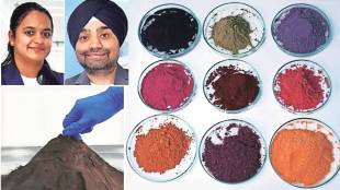 biological dye industry