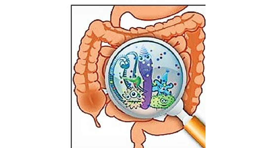 Faecal decomposing bacteria