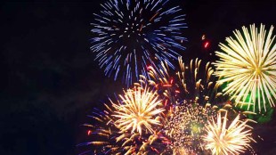 Mumbai animal protection organization