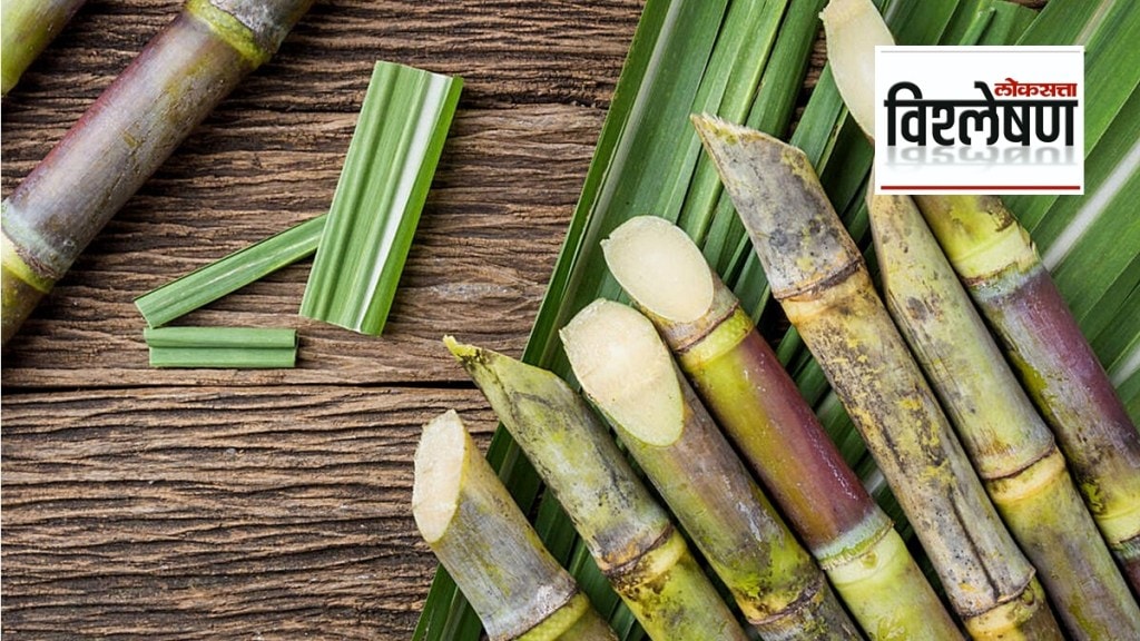 sugarcane crushing season controversial