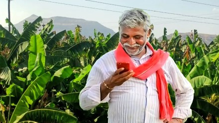 jalgaon Fruit crop insurance