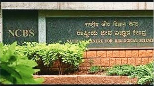 ncbs loksatta kutuhal article