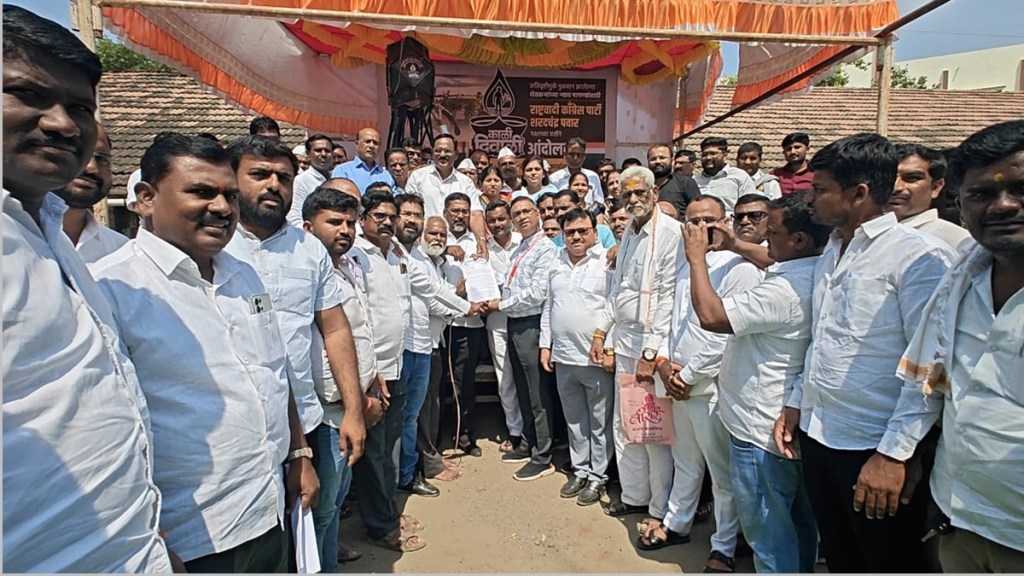 sharad pawar black Diwali loksatta news