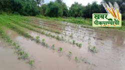 खबर पीक पाण्याची : स्वप्नांवर पाणी तरीही, नवनिर्मितीचे धुमारे