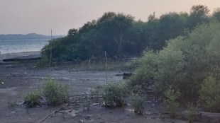 kandalvan department