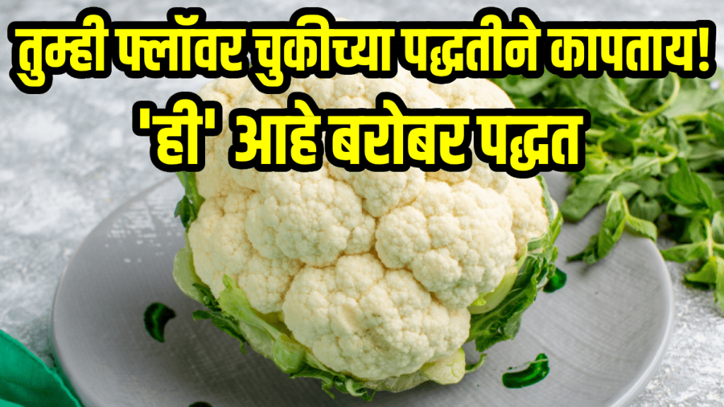How to cut cauliflower in right way kunal kapur shared tips to cut cauliflower steaks How to cut cauliflower in right way kunal kapur shared tips to cut cauliflower steaks