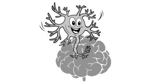 loksatta chaturang Mind Brain Balance Anatomy Staining Neurotransmitter