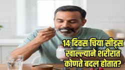 तुम्ही सलग १४ दिवस चिया सीड्स खाल्ल्या, तर तुमच्या शरीरावर काय परिणाम होईल? डॉक्टरांकडून घ्या जाणून…