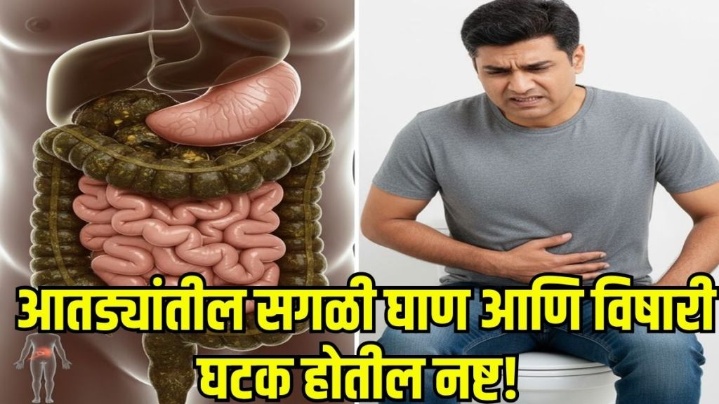 Harvard doctor digestion tips