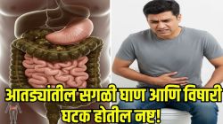 पोट बिघडणार नाही! दररोज सकाळी किंवा संध्याकाळी १-२ चमचे ‘या’ बिया खा; आतड्यांमधील सर्व घाण होईल झटक्यात साफ