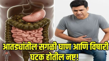 Harvard doctor digestion tips