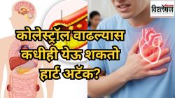 कोलेस्ट्रॉलचा वाढता धोका; ‘या’ चाचणीने टाळता येईल कमी वयात हार्ट अटॅक, तज्ज्ञांनी काय इशारा दिला?