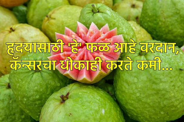 हृदय आणि कॅन्सरसाठी गुणकारी आहे हे फळ  हृदय आणि कॅन्सरसाठी गुणकारी आहे हे फळ