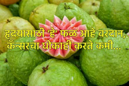  हृदय आणि कॅन्सरसाठी गुणकारी आहे हे फळ