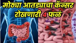 मोठ्या आतड्याच्या कॅन्सरचा धोका होईल कमी, फक्त ‘ही’ ४ फळ खा; डॉक्टरांनी सांगितला आश्चर्यकारक परिणाम