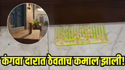 rat control home remedy