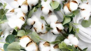cotton supply chain technology