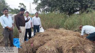 Panchnams of damaged farms have begun, inspection of 78 hectares of farms has been completed