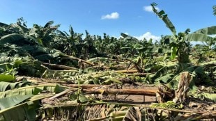crop loss aid declared for jalgaon farmers before diwali
