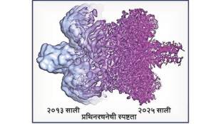 cryo electron microscopy