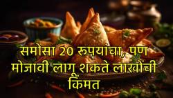 २० रूपयांचा समोसा, पण मोजावी लागते मोठी किंमत… हृदयरोगाबाबत तज्ज्ञांनी दिला मोलाचा सल्ला आणि सांगितलं आर्थिक गणित