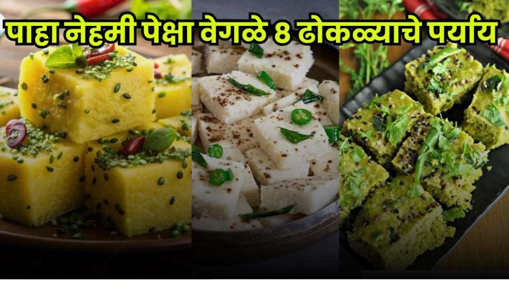 Tasty dhokla served on a plate