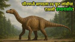 Dinosaur Discovery China: पृथ्वीवर परतला ज्युरासिक काळ! चीनमध्ये सापडला ३९ फूट लांबीचा राक्षसी डायनासोर