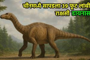 dinosaur discovery China