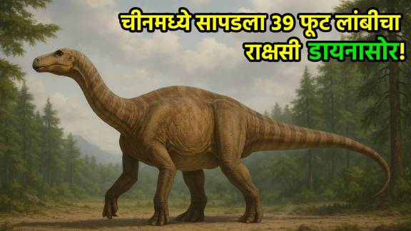 dinosaur discovery China