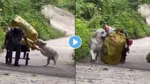 A loyal dog rushes to help his elderly owner pure love captured on camera.