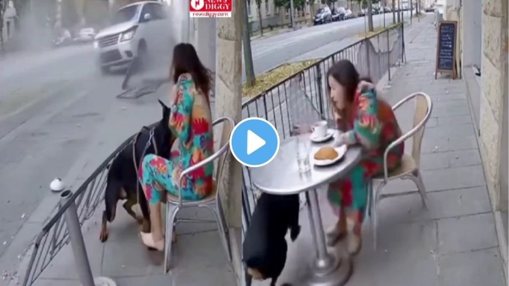 A pet dog’s loyalty on display — saved his owner’s life in seconds! A pet dog’s loyalty on display — saved his owner’s life in seconds!