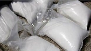 drug case
